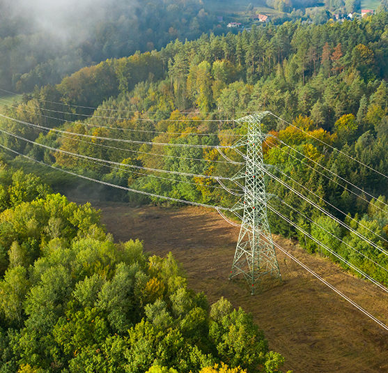 Power lines through forest on Consumers Energy owned property